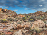 Petrified Forest National Park