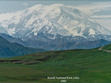 Denali National Park