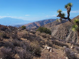 Joshua Tree National Park