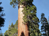 Kings Canyon National Park