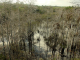 Everglades National Park