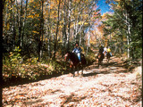 Shenandoah National Park