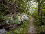 Shenandoah National Park