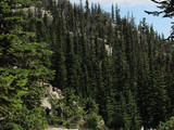 Rocky Mountain National Park