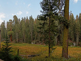 Sequoia National Park