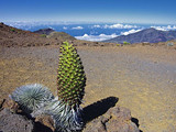 Haleakala National Park