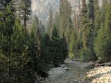 Kings Canyon National Park