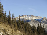 Denali National Park