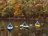 Congaree National Park