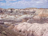 Petrified Forest National Park