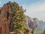 Zion National Park