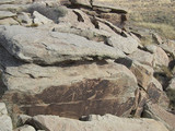 Petrified Forest National Park