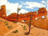 Windows / arches, Bryce Canyon National Park, 2015