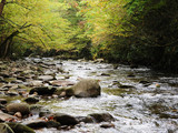 Great Smoky Mountains National Park