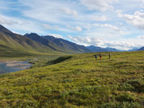 Gates of the Arctic National Park