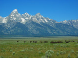 Grand Teton National Park