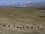 Kobuk Valley National Park