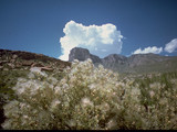 Guadalupe Mountains National Park