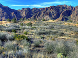 Big Bend National Park