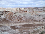 Petrified Forest National Park