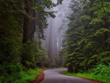 North Cascades National Park