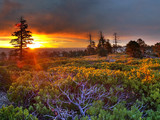 Bryce Point at sunrise.