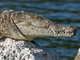 Biscayne National Park