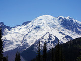 Mount Rainier National Park