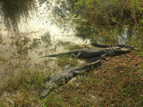 Everglades National Park