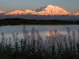 Snow-capped mountain, Denali National Park and Preserve, 2015.