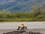 Gates of the Arctic National Park