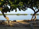 Shaded picnic area, Bicsayne National Park, 2015.