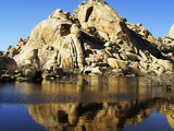 Joshua Tree National Park