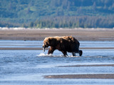 Katmai National Park