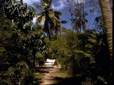 Virgin Islands National Park