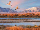 Great Sand Dunes National Park