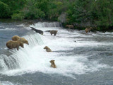 Kenai Fjords National Park