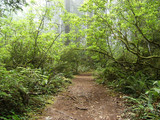 Redwood National Park