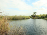 Everglades National Park