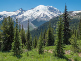 Mount Rainier National Park