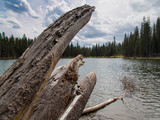 Lassen Volcanic National Park