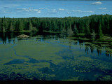 Voyageurs National Park