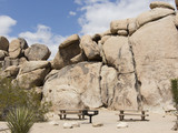 Joshua Tree National Park