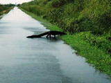 Everglades National Park