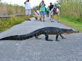 Everglades National Park