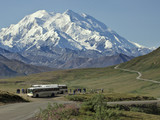 Denali National Park