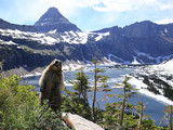 Glacier National Park