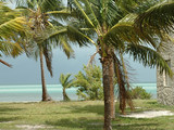 Biscayne National Park