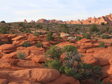 Arches National Park