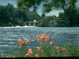 Voyageurs National Park